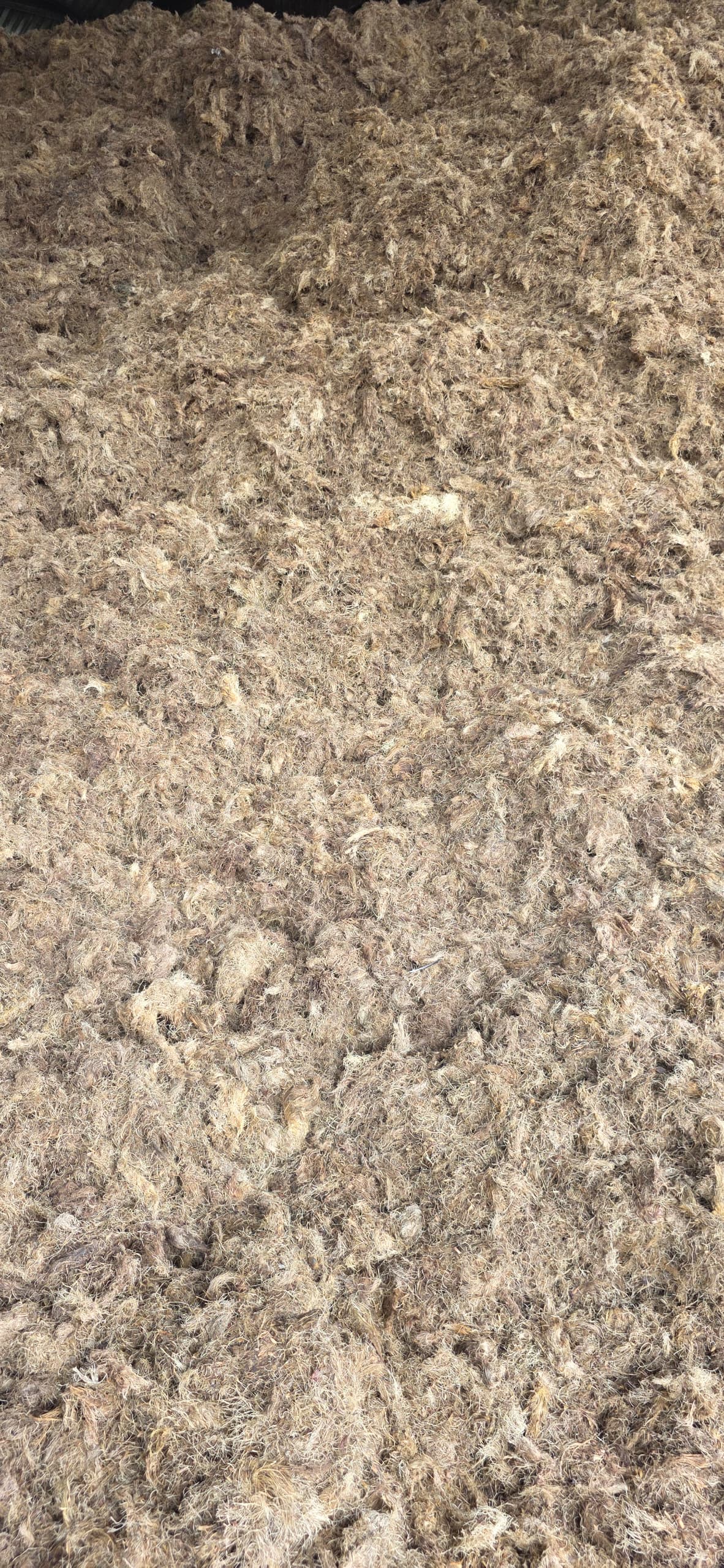 S-EFB fiber Shredded empty fruit bunch fiber