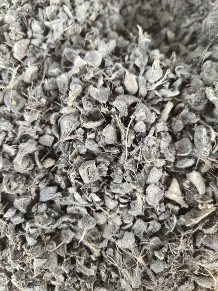 palm kernel shell -3