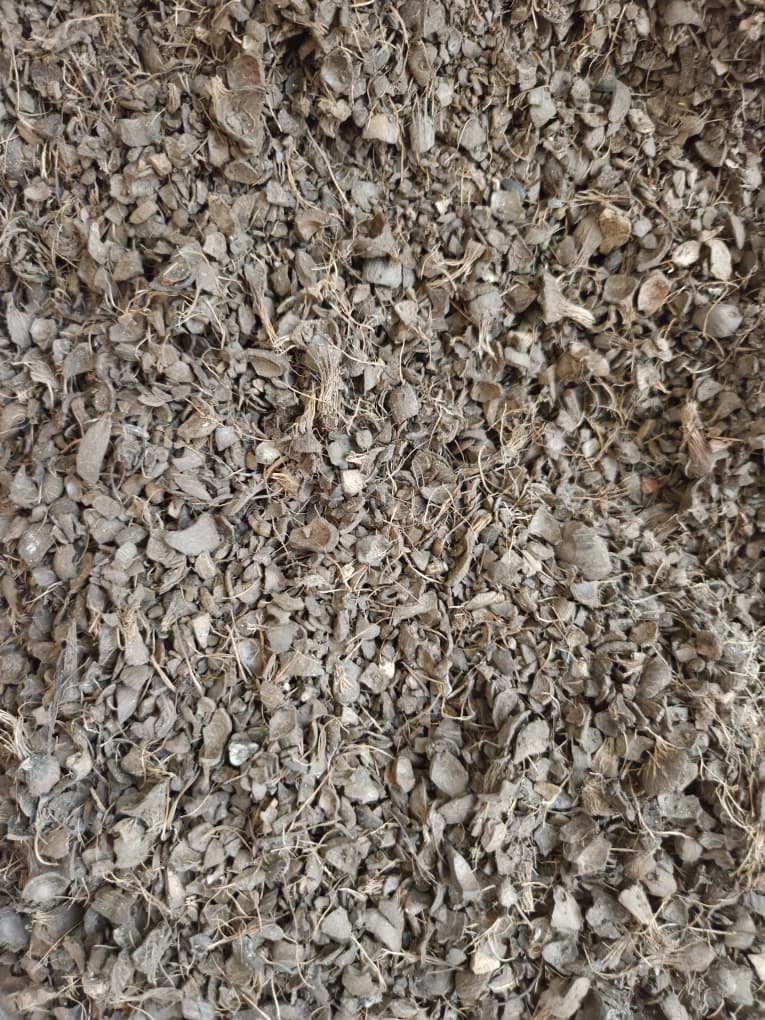 palm kernel shell -4